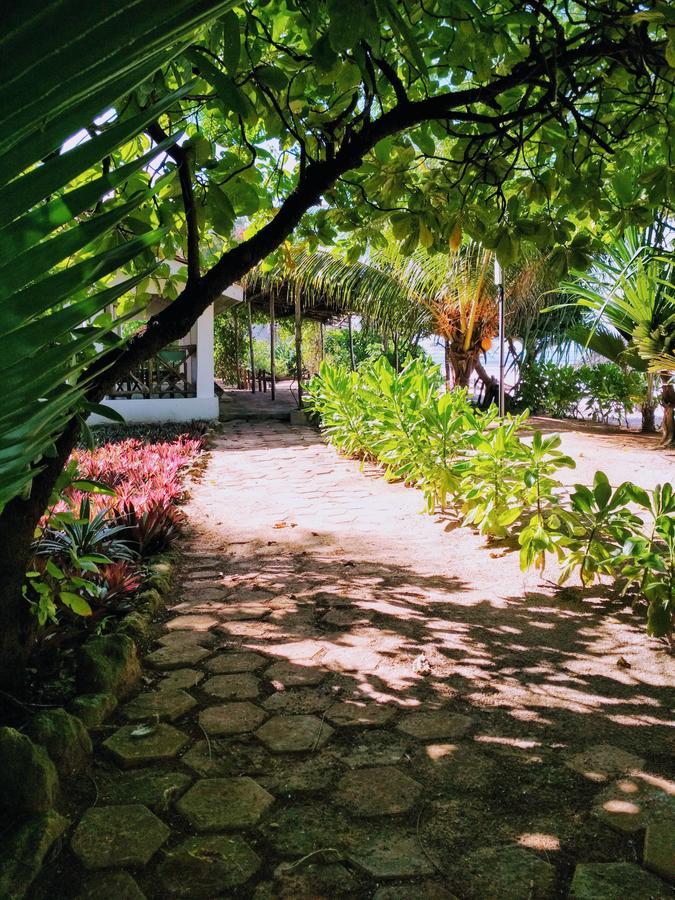 Panga Chumvi Beach Resort マテムウェ エクステリア 写真